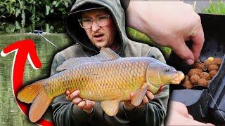 SNAG FISHING FOR CARP !!! CARP FISHING