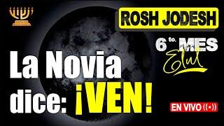 Rosh Jodesh Elul │ La Novia dice: ¡VEN!