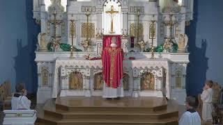 Daily Mass 6.11.24 - All Saints Parish