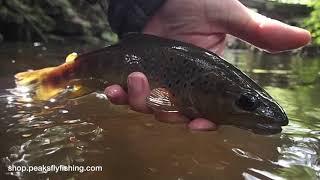 Fly Fishing The Klink & Dink For Wild Brown Trout