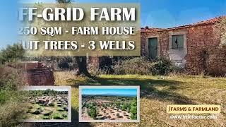  Off Grid Farm - [Farmhouse & Renovation Potential] | 9250 m² - Central Portugal | Sold