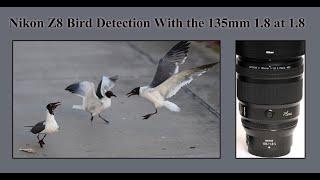 Nikon Z8 Bird Detection With the 135mm 1.8 Plena at 1.8