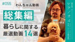 【総集編】わんちゃんの健康的な暮らしを望む方へ。厳選動画まとめ【獣医師ツジノボル】