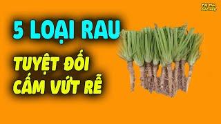 Ăn 5 loại rau này CHỚ DẠI VỨT RỄ ĐI cực tốt cho sức khỏe mà nhiều người không biết