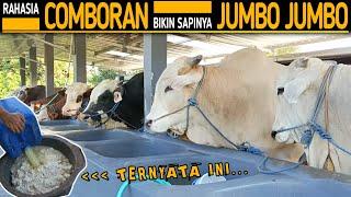 Comboran Tidak Harus Banyak !! Tapi Bisa Jumbo Jumbo !! Ini Rahasianya..