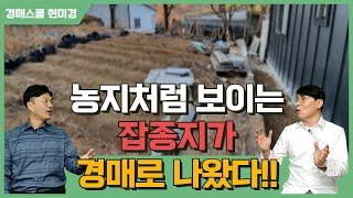 잡종지가 나왔다!! 건축을 바로 할 수 있는 대지 같은 잡종지! 농취증도 필요 없지만 조심해야 할 것은??