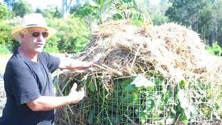 Permaculture Fast Forward Food Forest Part 1