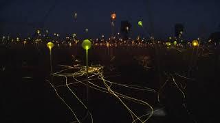 Field of Light, Uluru