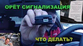 Почему срабатывает / орёт / сигнализация на автомобиле / одна из причин