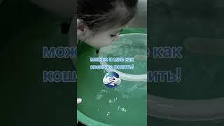 Я маленькая
