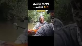 Human, animal and nature 