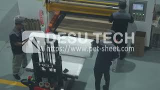 Take a look at how Desu Technology packages PET sheet rolls for export