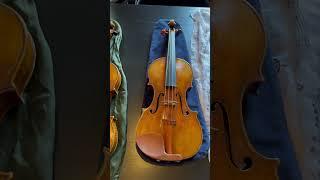 17 beautiful Guarneri Del Gesù violins