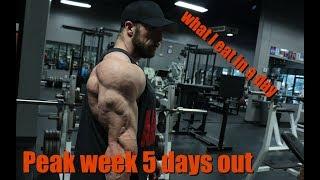 IFBB Pro John Jewett: Peak Week Log: NY Pro 5 Days out: What I eat in a day