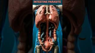 3d anatomical Visualization Human gut anatomy and parasitic worms in motion #shorts #biology