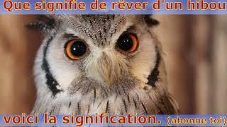 si tu voir un Hibou dans ton Rêve Voici la signification