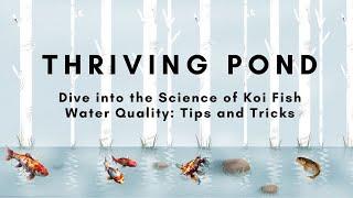 Dive into the Science of Koi Fish Water Quality: Tips and Tricks for a Thriving Pond