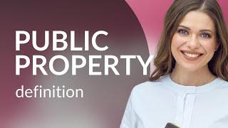 Public property | definition of PUBLIC PROPERTY