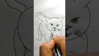 Cat Drawing Tutorial. বেড়ালের ছবি আঁকা | ছবি আঁকা | chobi aka | biral aka | Rong Pencil