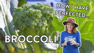 How to Grow Broccoli Like a Pro: Tips for Big, Healthy Harvests!