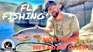 Fly fishing Northern Nevada's Desert for big Tiger Trout and Exploring Mining History