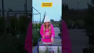 Анна Калашникова посетила Питомник растений Экоплант 