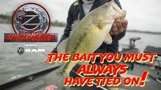 The Bait You Must Always Have Tied On! - ZONA UNPLUGGED Episode #7