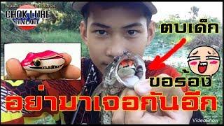 CHOK LURE /กบยาง ทรงกบ /ตบเด็กอีกปแล้ว /เทสเตอร์ต๊ะ