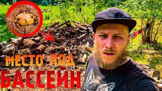 МОЙ ВАРДХЕЙМ - РАСКОПАЛИ УЛЕЙ | МЕСТО ПОД БАССЕЙН | ОГРОМНАЯ ЖАБА #6