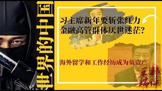 习主席新年要斩张红力，金融高管群体厌世迷茫？海外留学和工作经历成为负资产|《世界的中国》（20250115）