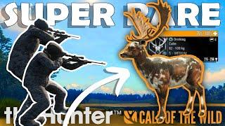 SUPER RARE on a GUIDED HUNT!!! - Call of the Wild