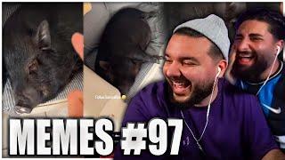 Was macht ein Schwein hier?  Lachkick Folge EHRENLOSE MEMES #97