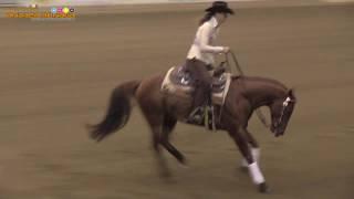 ANNA LISEC -TARI WHIZIN CHUCK KLIPFEL- EURO DERBY 216