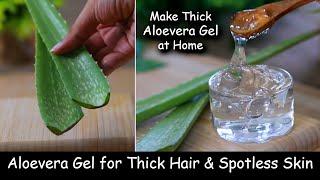 Homemade Aloevera Gel | for Thick Hair Growth & Spotless Skin - Make Aloevera Gel at Home from Leaf