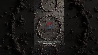 Краснодарский котельный завод - котельное оборудование для вашего производства!