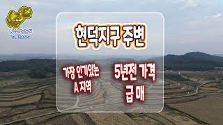 평택 현덕지구 주변 가장 인기있는 A지역의 5년전 가격의 장수리 평택토지급매 ( 도로접 ) _발로 뛰는 평택 금두꺼비 공인중개사 ( 현지부동산 2013년 ~ )