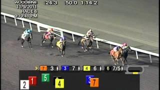 2011 South Ocean Stakes