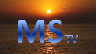 MS - TV Channel
