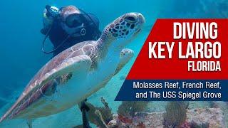 Diving in Florida: Molasses Reef, French Reef, Benwood & Spiegel Grove dive sites