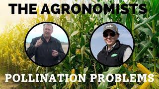 The Agronomists, Ep 164: Pollination problems