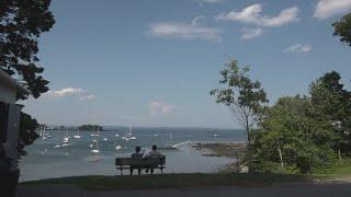 Poisoned trees gave a wealthy couple in Maine a great ocean view. Residents wonder, at what cost?