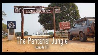 Adventure Travel Brazil - The Pantanal Jungle (Tim and Kelsey get lost Ep 111)