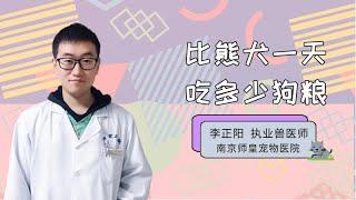 比熊犬一天吃多少狗糧