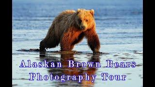 Alaska Bears Photography Tour