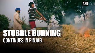 Stubble burning continues in Punjab despite government ban