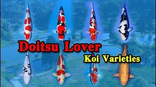 Doitsu Koi Varieties