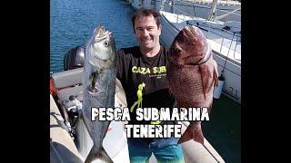 La REINA del INVIERNO en CANARIAS, la SAMA ROQUERA... y pejerrey. #spearfishing #pescasubmarina