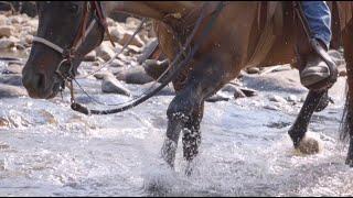 Freedom Ranch for Heroes – Equine Adventures  with the Harbaugh Foundation & Impact Montana