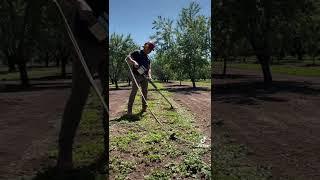Rodenator 5000 plus gets the job done