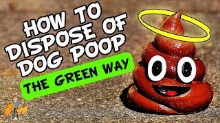 How To Dispose Of Dog Poop (+ how green is each option?!) - Dog Health Vet Advice